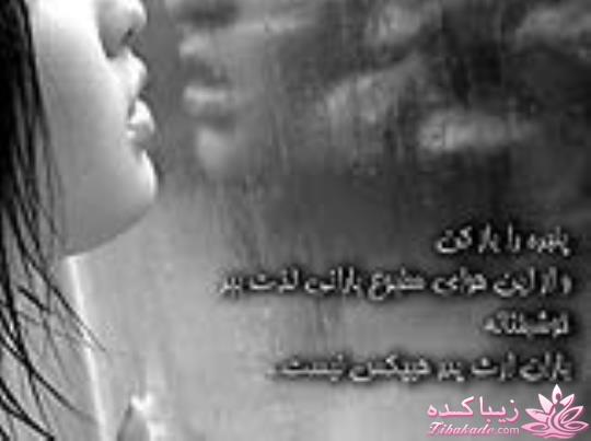 ماهی سیاه کوچولو