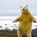 خوابیدن وقتی هوا بارونیه