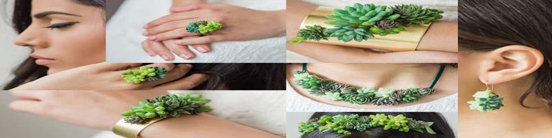 کاور پرستو ♥