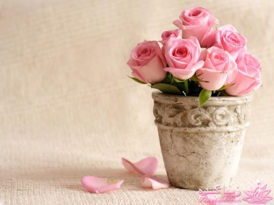 عکس های تایم لاین