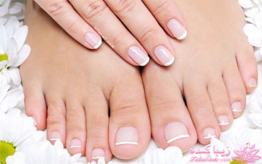 مدرسه ناخن نیلانیک