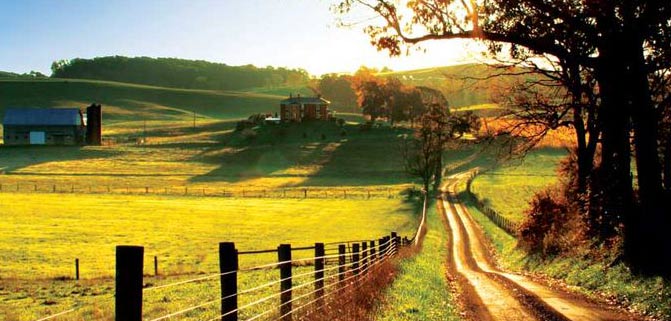 فال_از_14_تا_20_شهریور_1394