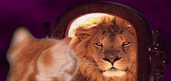 چند_نکته_در_مورد_خودتان_