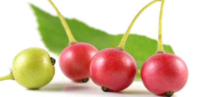 خاصیت_فوق_العاده_میوه_های_کرسون