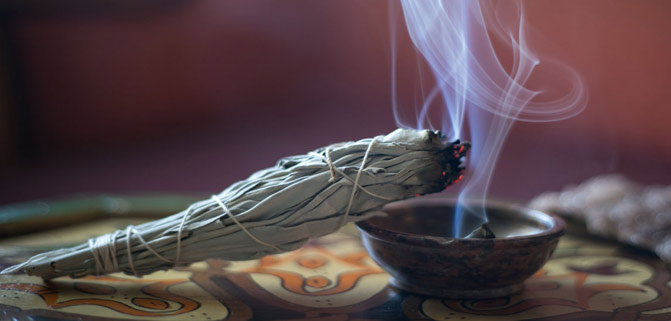 سیج_(گیاه_مریم_گلی)_