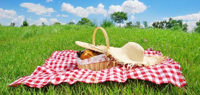 پیک_نیک_های_سبک_و_راحت