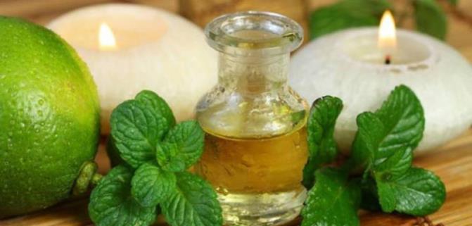 پاکسازی_بدن_از_سموم_و_آلودگی_هوا_توسط_گیاهان