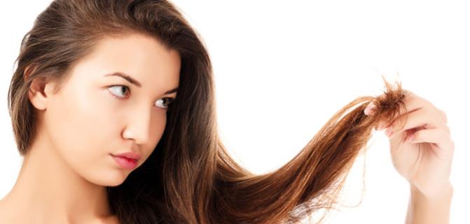 جلوگیری_از_مو_خوره_