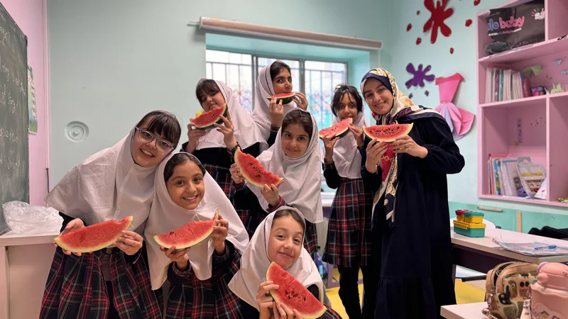 مدارس نگرش آرمانی