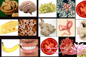 بدن، انسان، شباهت