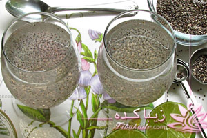 تخم، شربتی، رژیم، لاغری