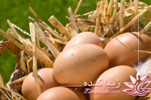 تخم مرغ، تازه، فواید