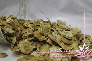 گلپر، خواص، رازیانه