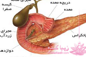 کبد، صفرا، درمان