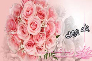 بله برون، آداب