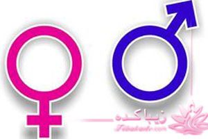 آناتومی، دستگاه، تناسلی، مردان