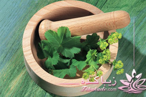 آلوئه ورا، گیاهان، درملنی، دارویی