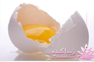 تخم مرغ