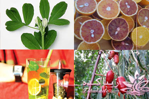 پرتقال، سنجد، شربت، سبز، ژله