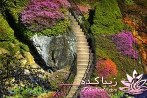 آرزوها، موفقیت، کلید، رشد