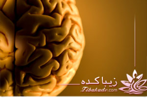 مغز , تخریب , سلامت