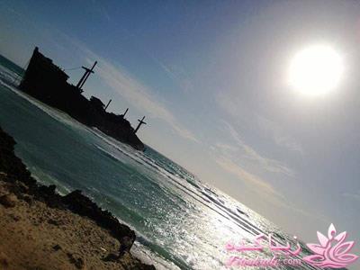 .:آلبوم عکسهای خودگرفته ما:.