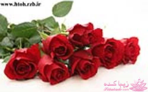 كافه گفت وگو ...