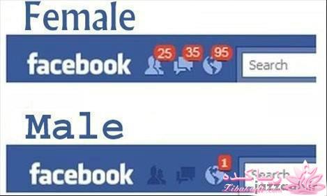 نکته عکس رو گرفتی؟؟؟؟