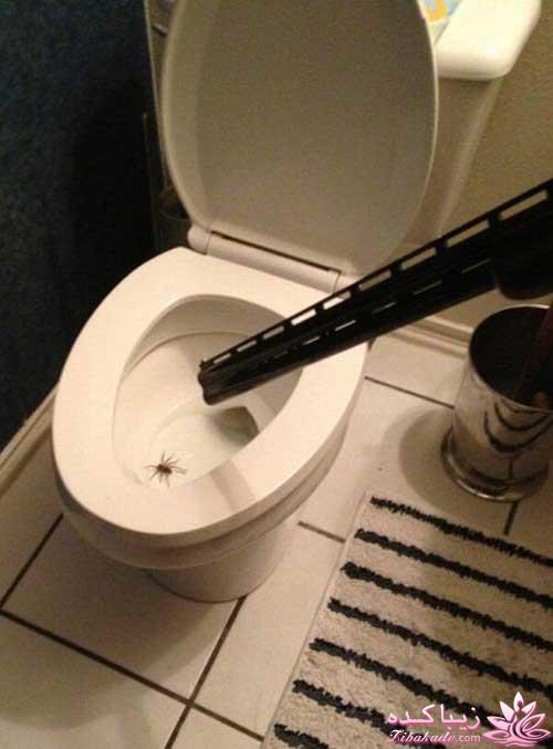 مجله سرگرمی زیباکده