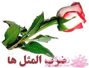 منشاء و معنای ضرب المثلها