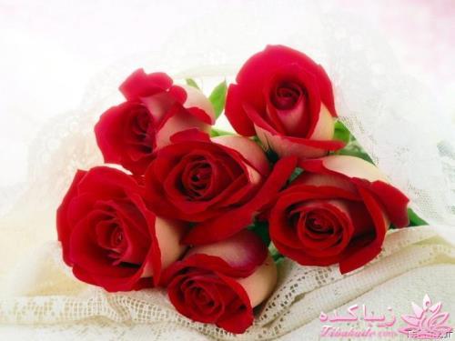 مدل مانتو مجلسی