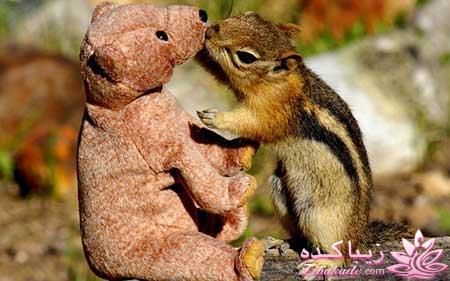 مجله سرگرمی زیباکده