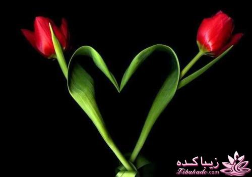 نظرتون در مورد عشق قبل ازدواج چیه؟