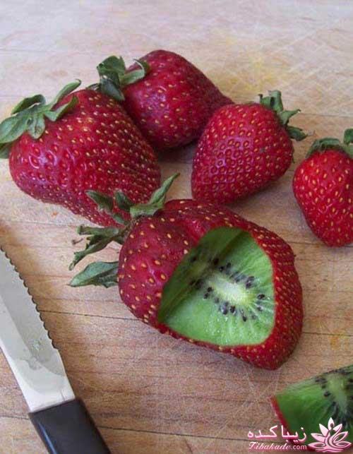 مجله سرگرمی زیباکده