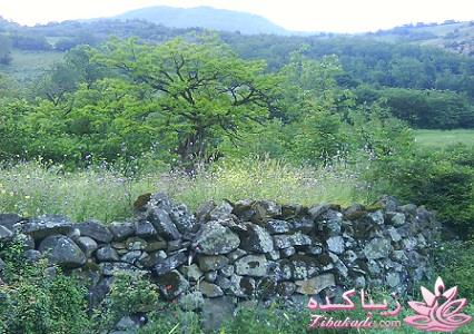 عکـــــــــــــــــس های گرفته شده در سفـــــــر