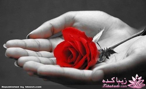 پسرا یکی اضافه کنن دخترا یکی کم کنن!!!!!