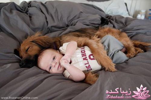 مجله سرگرمی زیباکده