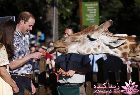 عکسهای زیبا ومفهومی