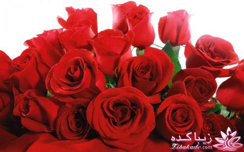 بفرمایید جشن تولد