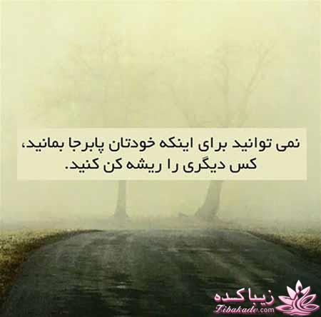 »»»»»»»»» حامیــــان غـــــــــــــــزه ««««««««