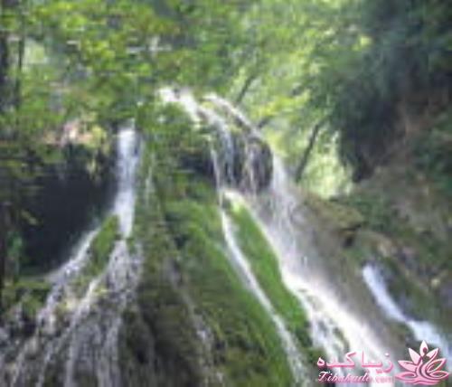 .:آلبوم عکسهای خودگرفته ما:.