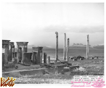 نادرترین عکسهای تاریخ