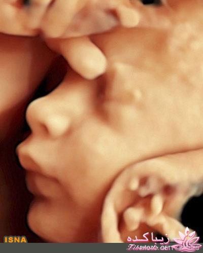 خاطرات جالب یک جنین