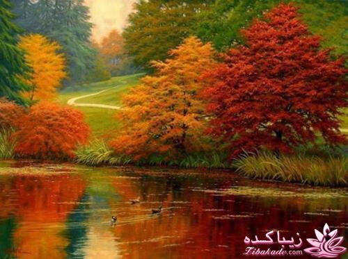 عکس های جالب