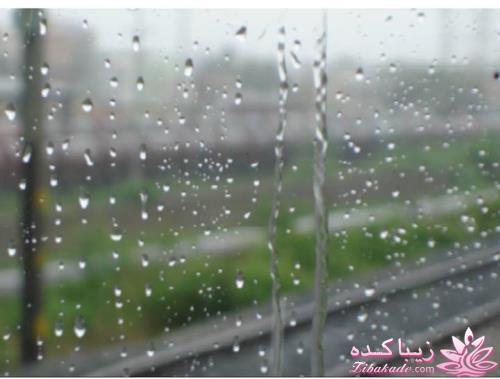 عکس های جالب