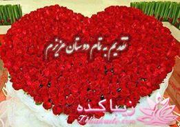 از بر و بچز نی نی سایت کسی اینجا نیست؟؟