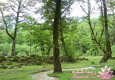 عکـــــــــــــــــس های گرفته شده در سفـــــــر