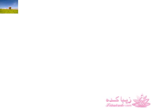 مسابقه عکاسی زیباکده ای مورد حمایت فروشگاه پانوراما**ویژه دریافت عکس**