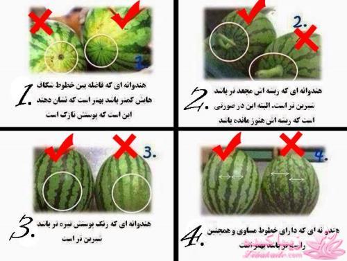 خلاقیت در خانه 