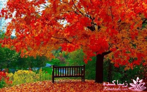 سخنان ارزشمند